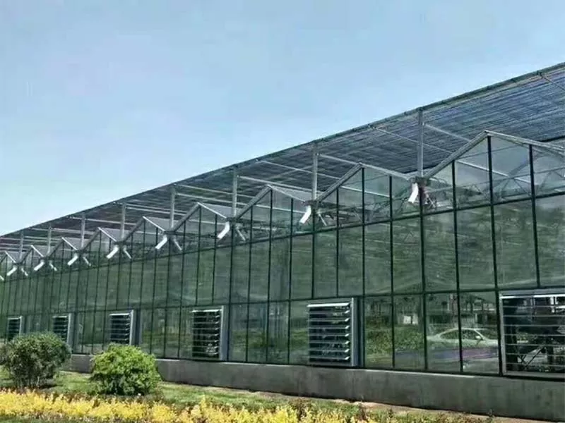 Me Ya Sa Karfe Tsaye Farm Makomar Noma Mai Dorewa?